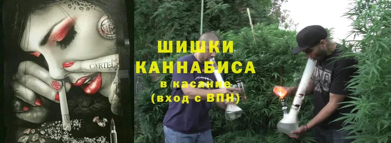 купить   Балахна  Каннабис White Widow 